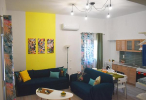 Purgos Colourful Studio